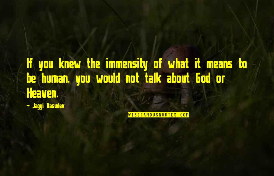 What It Means To Be Human Quotes By Jaggi Vasudev: If you knew the immensity of what it