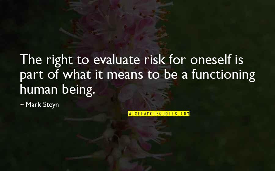 What It Means To Be Human Quotes By Mark Steyn: The right to evaluate risk for oneself is