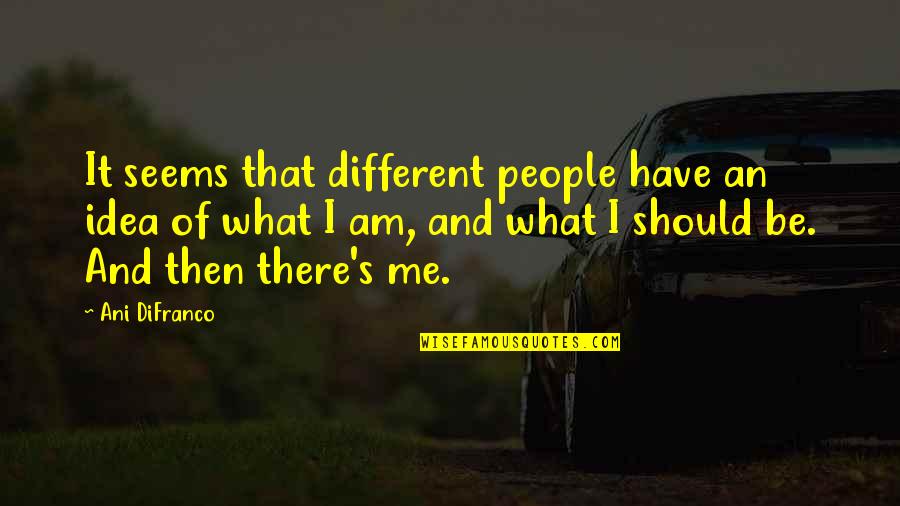 What It Seems Quotes By Ani DiFranco: It seems that different people have an idea