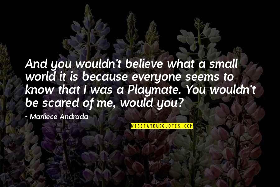 What It Seems Quotes By Marliece Andrada: And you wouldn't believe what a small world