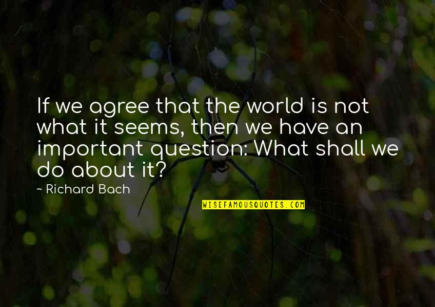 What It Seems Quotes By Richard Bach: If we agree that the world is not