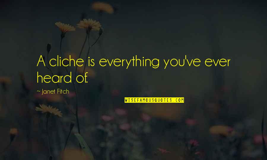 What Ive Been Through Quotes By Janet Fitch: A cliche is everything you've ever heard of.