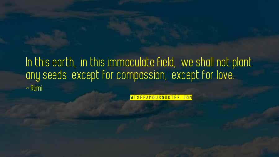 What Katy Did Quotes By Rumi: In this earth, in this immaculate field, we What Katy Did Quotes By Rumi: In this earth, in this immaculate field, we