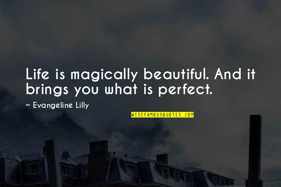 What Life Brings Quotes By Evangeline Lilly: Life is magically beautiful. And it brings you