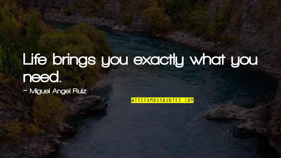 What Life Brings Quotes By Miguel Angel Ruiz: Life brings you exactly what you need.