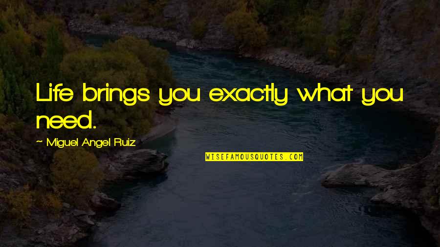 What Life Brings You Quotes By Miguel Angel Ruiz: Life brings you exactly what you need.