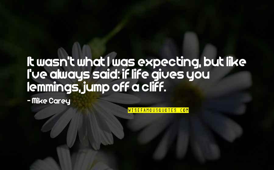 What Life Gives You Quotes By Mike Carey: It wasn't what I was expecting, but like What Life Gives You Quotes By Mike Carey: It wasn't what I was expecting, but like