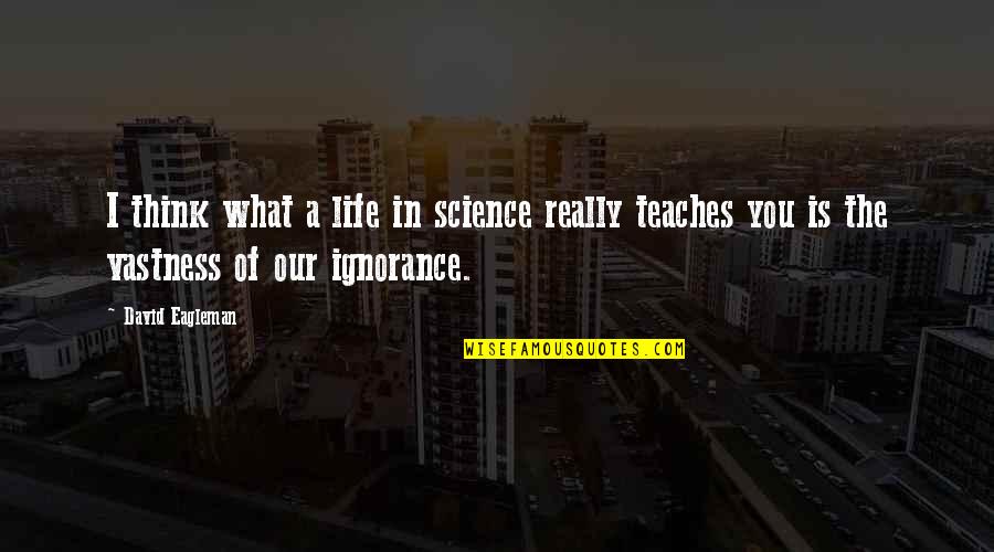 What Life Really Is Quotes By David Eagleman: I think what a life in science really