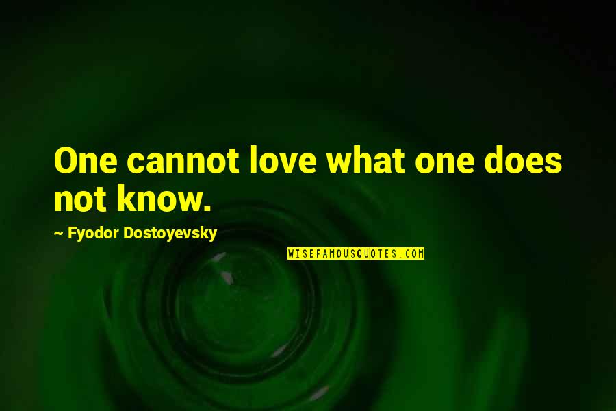 What Love Does Quotes By Fyodor Dostoyevsky: One cannot love what one does not know.