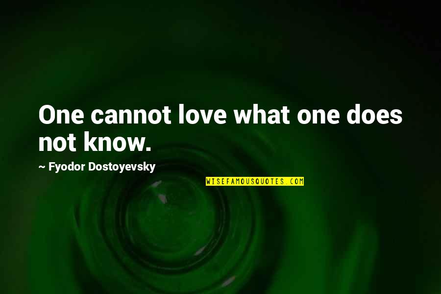 What Love Does To You Quotes By Fyodor Dostoyevsky: One cannot love what one does not know.