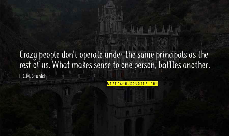 What Makes Sense Quotes By C.M. Stunich: Crazy people don't operate under the same principals