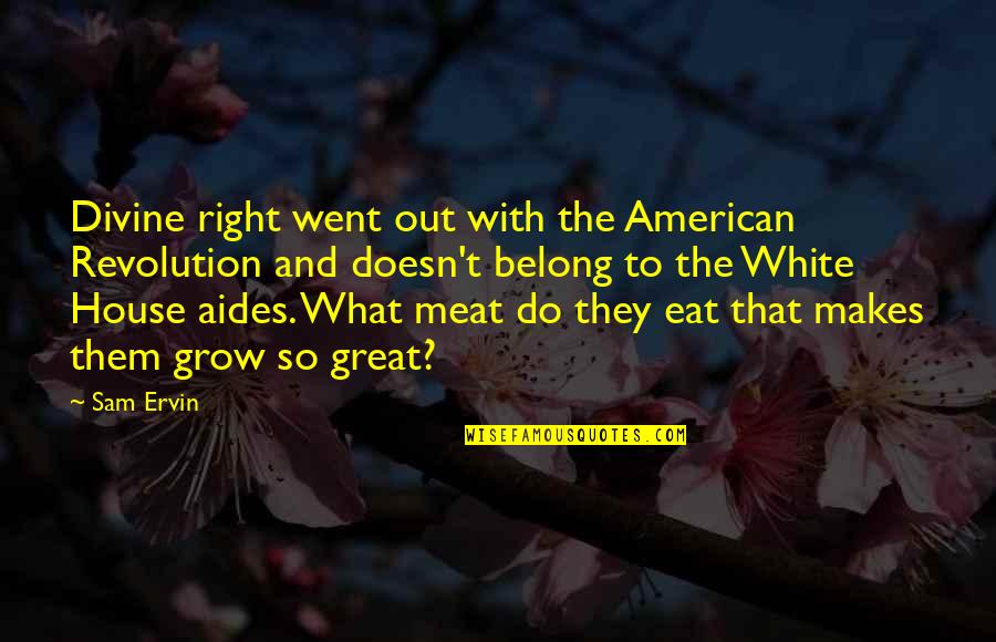 What Makes You Great Quotes By Sam Ervin: Divine right went out with the American Revolution
