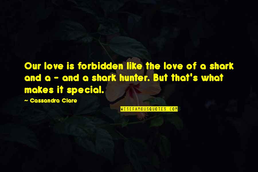 What Makes You So Special Quotes By Cassandra Clare: Our love is forbidden like the love of