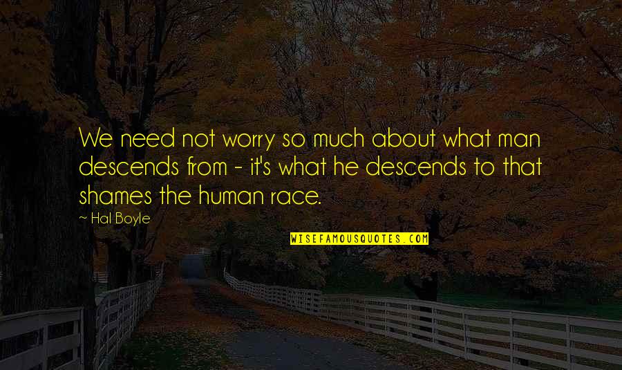 What Man Need Quotes By Hal Boyle: We need not worry so much about what