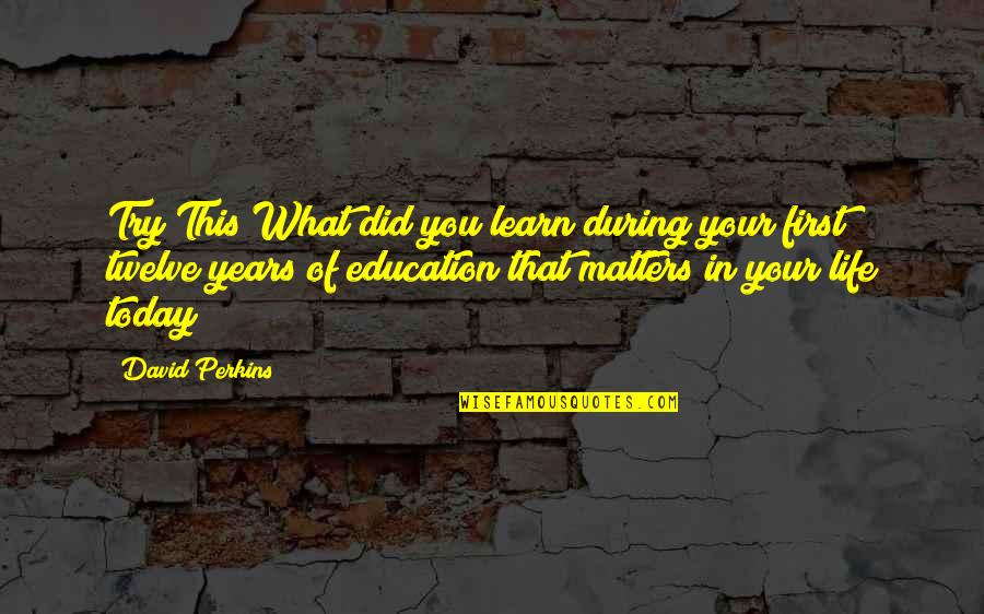 What Matters In Life Quotes By David Perkins: Try This What did you learn during your