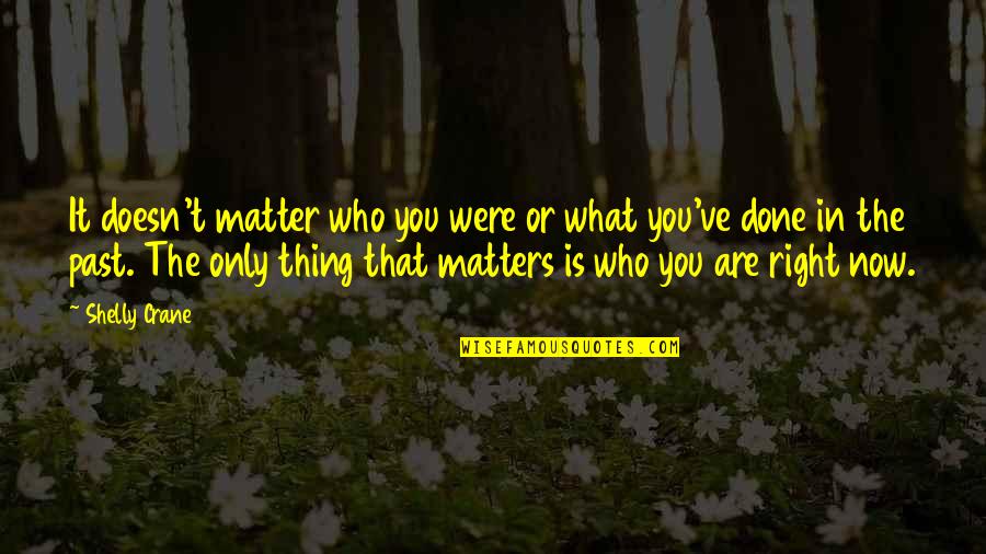 What Matters In Love Quotes By Shelly Crane: It doesn't matter who you were or what