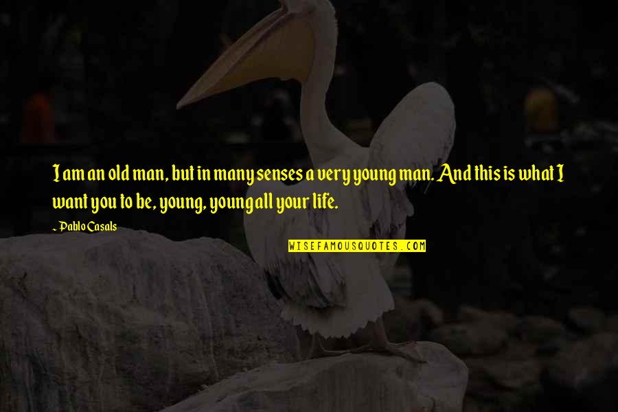What Men Want Quotes By Pablo Casals: I am an old man, but in many What Men Want Quotes By Pablo Casals: I am an old man, but in many