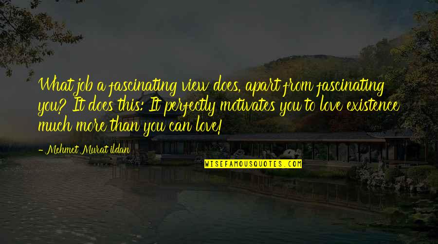 What Motivates Us Quotes By Mehmet Murat Ildan: What job a fascinating view does, apart from