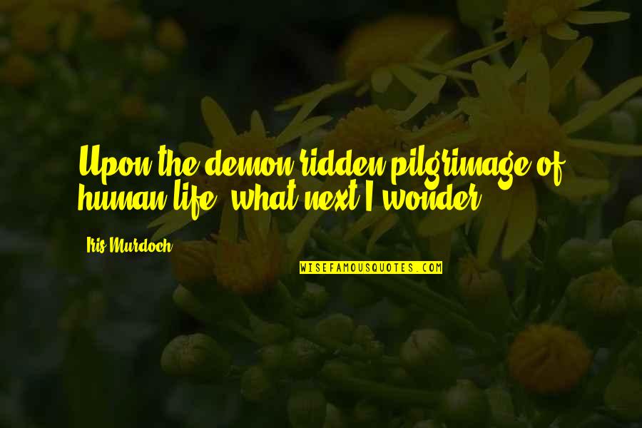 What Next In Life Quotes By Iris Murdoch: Upon the demon-ridden pilgrimage of human life, what