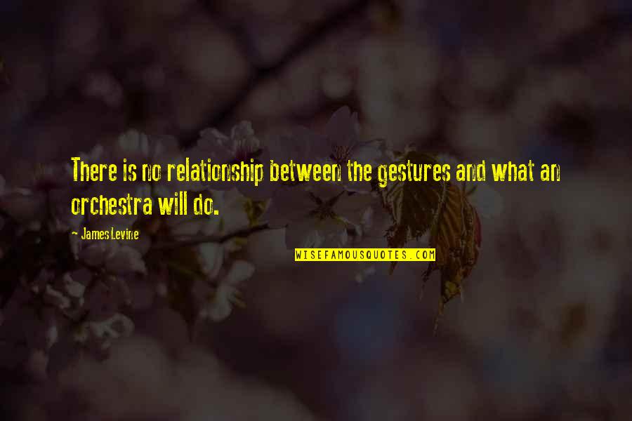 What Not To Do In A Relationship Quotes By James Levine: There is no relationship between the gestures and