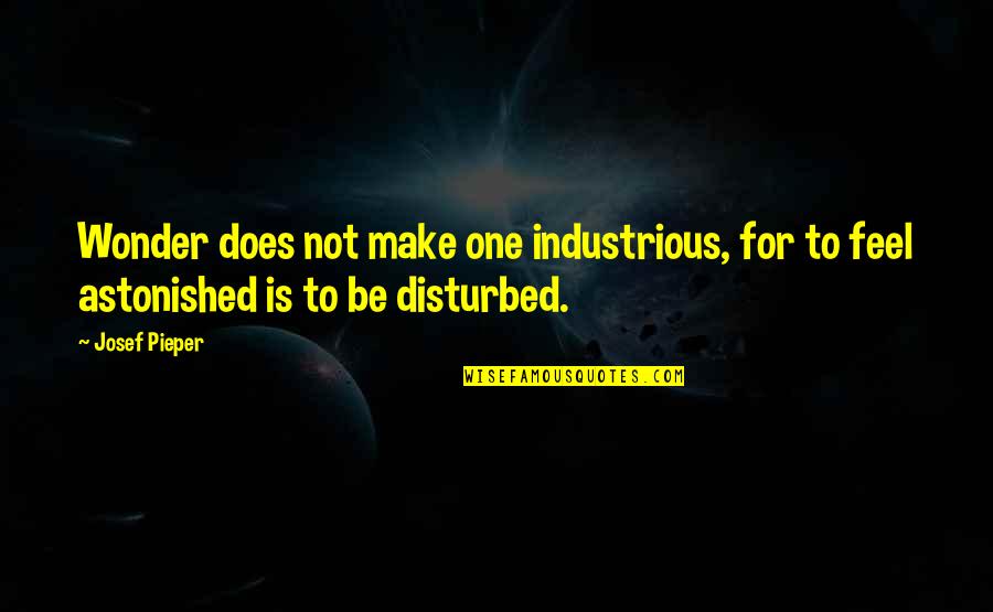 What Of This Goldfish Would You Wish Quotes By Josef Pieper: Wonder does not make one industrious, for to