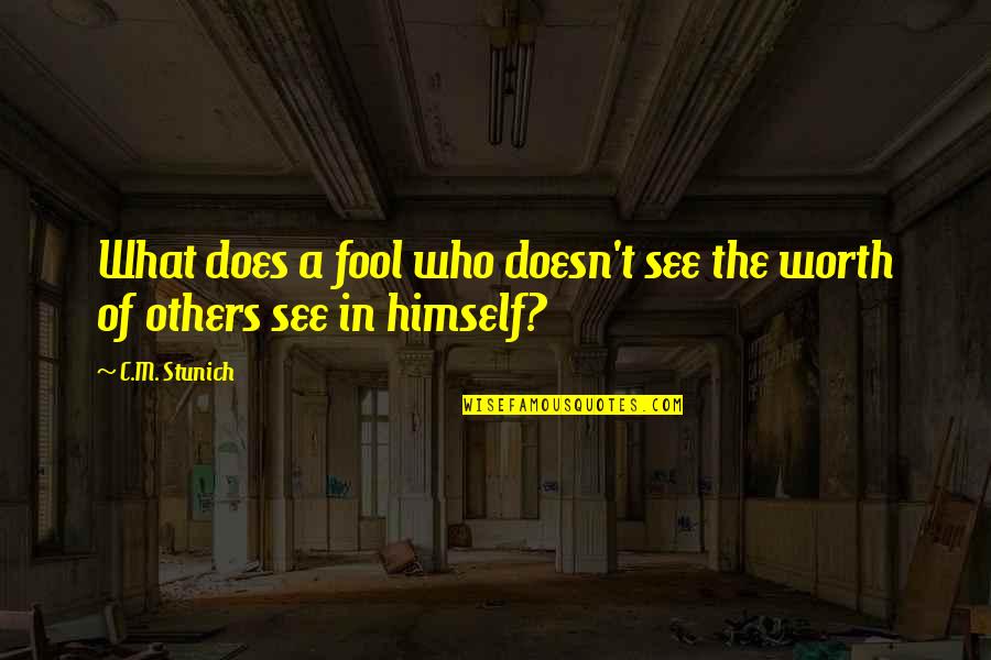 What Others See In You Quotes By C.M. Stunich: What does a fool who doesn't see the