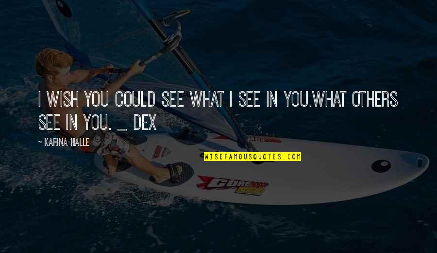 What Others See In You Quotes By Karina Halle: I wish you could see what I see