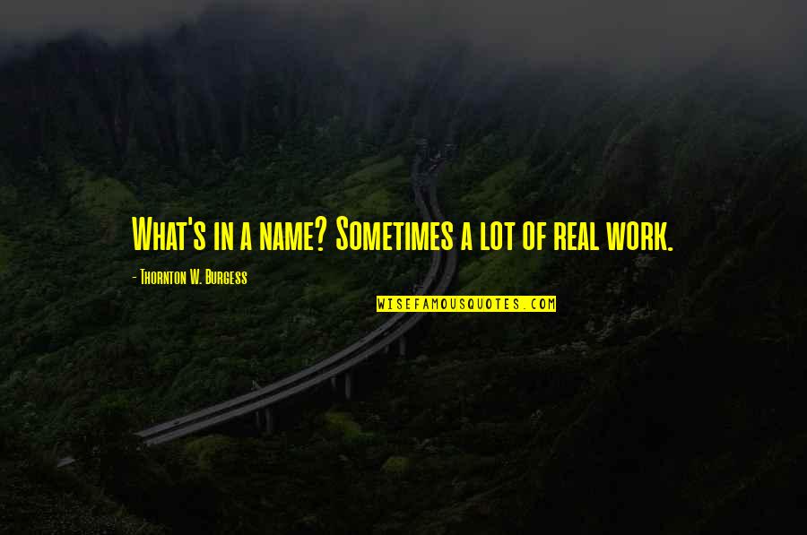 What S In A Name Quotes By Thornton W. Burgess: What's in a name? Sometimes a lot of What S In A Name Quotes By Thornton W. Burgess: What's in a name? Sometimes a lot of