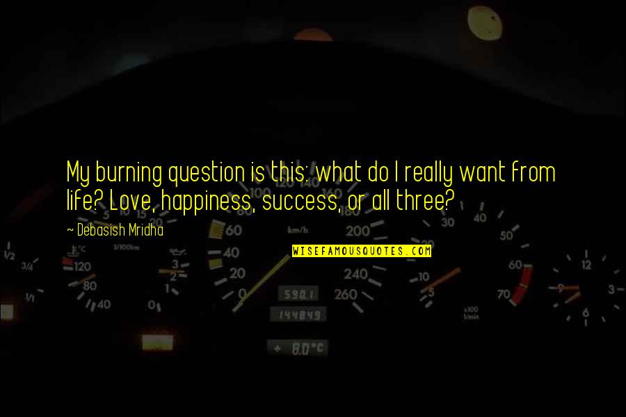 What Success Is Quotes By Debasish Mridha: My burning question is this: what do I