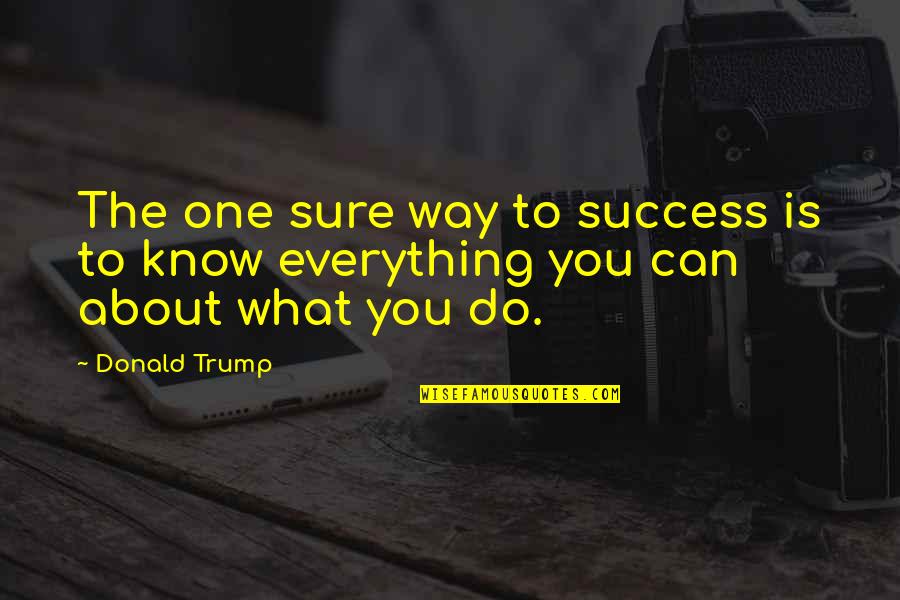 What Success Is Quotes By Donald Trump: The one sure way to success is to