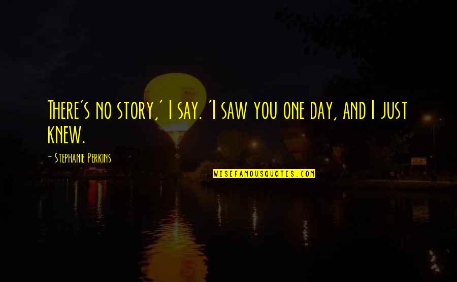 What Success Means To You Quotes By Stephanie Perkins: There's no story,' I say. 'I saw you