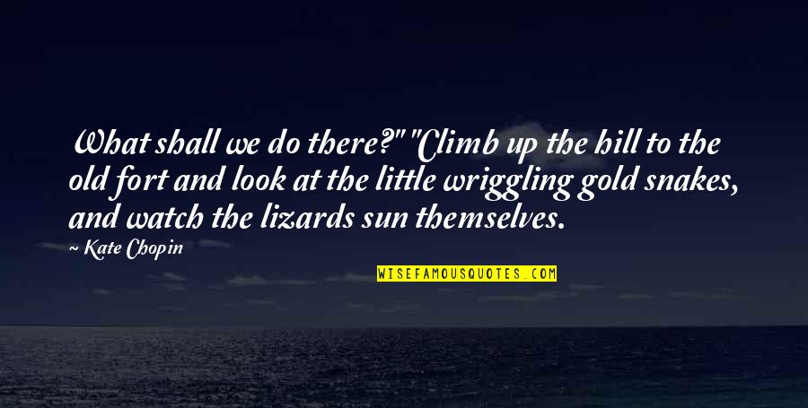 What Sun Quotes By Kate Chopin: What shall we do there?" "Climb up the