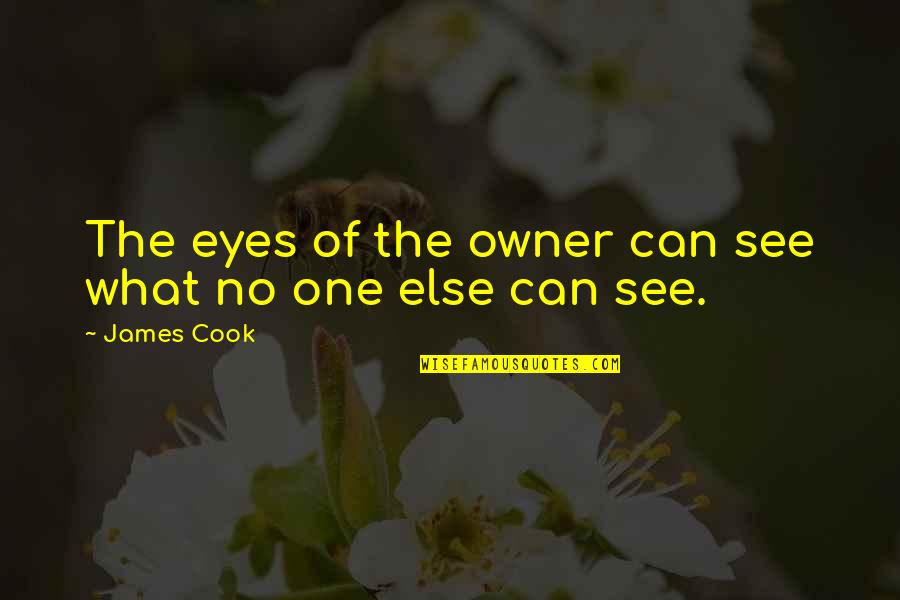What The Eye Can See Quotes By James Cook: The eyes of the owner can see what