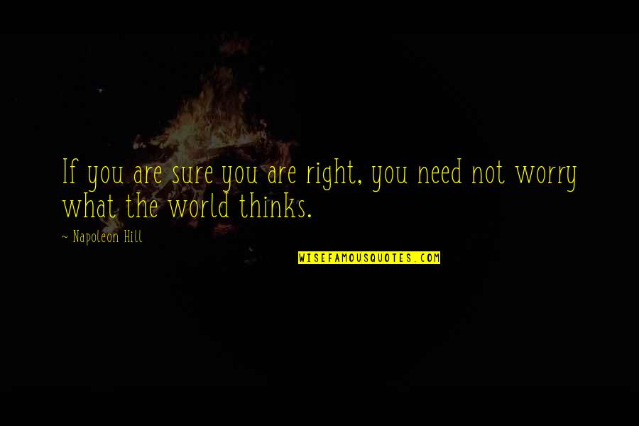 What The World Needs Quotes By Napoleon Hill: If you are sure you are right, you