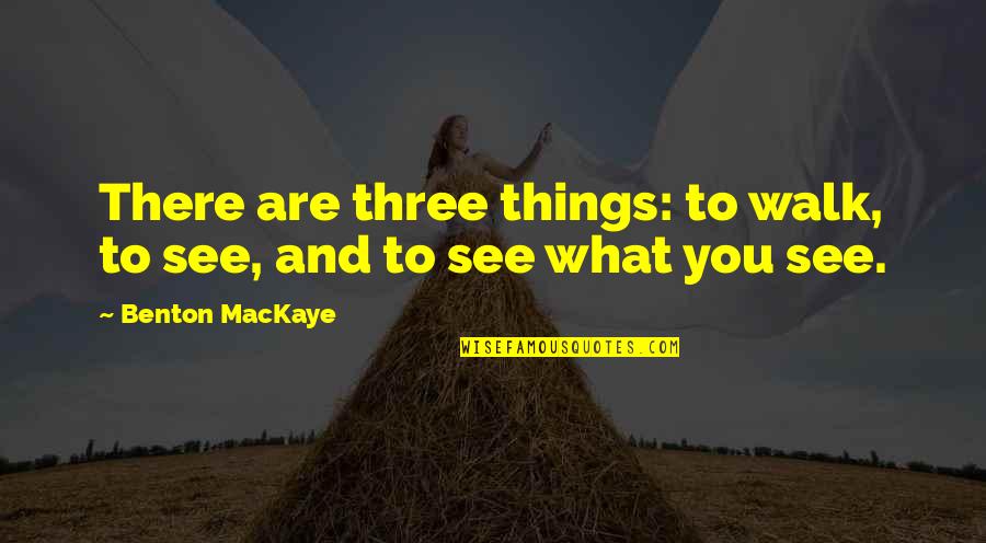 What Three Things Quotes By Benton MacKaye: There are three things: to walk, to see,