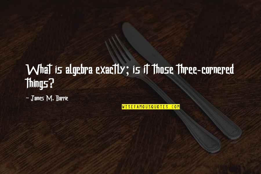 What Three Things Quotes By James M. Barrie: What is algebra exactly; is it those three-cornered