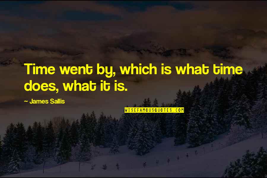What Time Is It Quotes By James Sallis: Time went by, which is what time does,