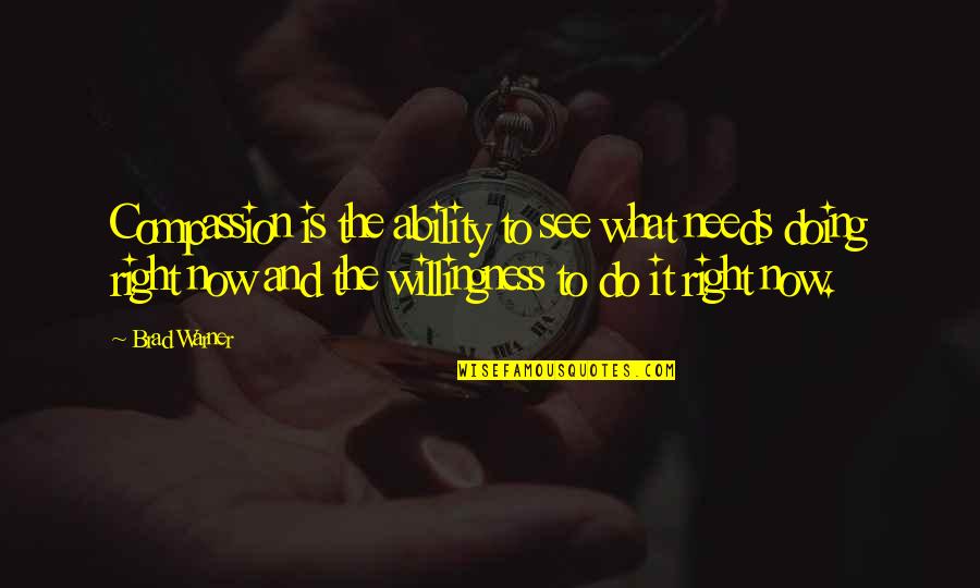 What To Do Now Quotes By Brad Warner: Compassion is the ability to see what needs