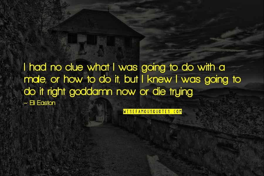 What To Do Now Quotes By Eli Easton: I had no clue what I was going