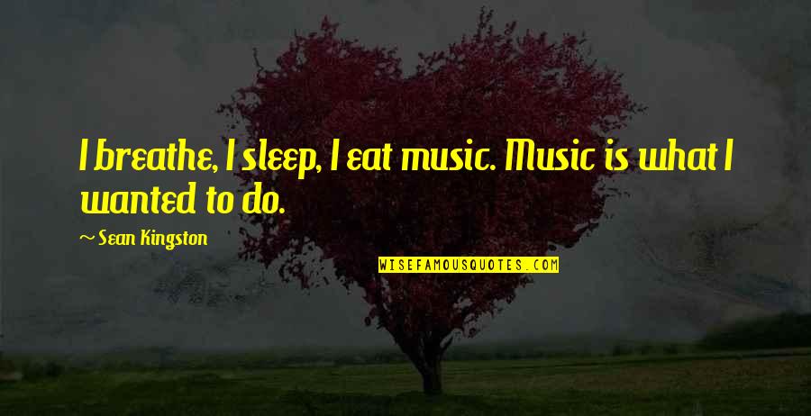 What To Eat Quotes By Sean Kingston: I breathe, I sleep, I eat music. Music