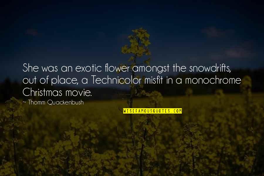 What To Look For In A Guy Quotes By Thomm Quackenbush: She was an exotic flower amongst the snowdrifts,