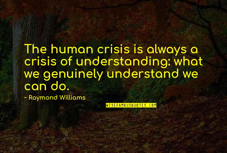 What We Can Do Quotes By Raymond Williams: The human crisis is always a crisis of