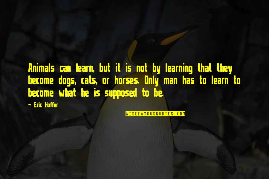 What We Can Learn From Animals Quotes By Eric Hoffer: Animals can learn, but it is not by