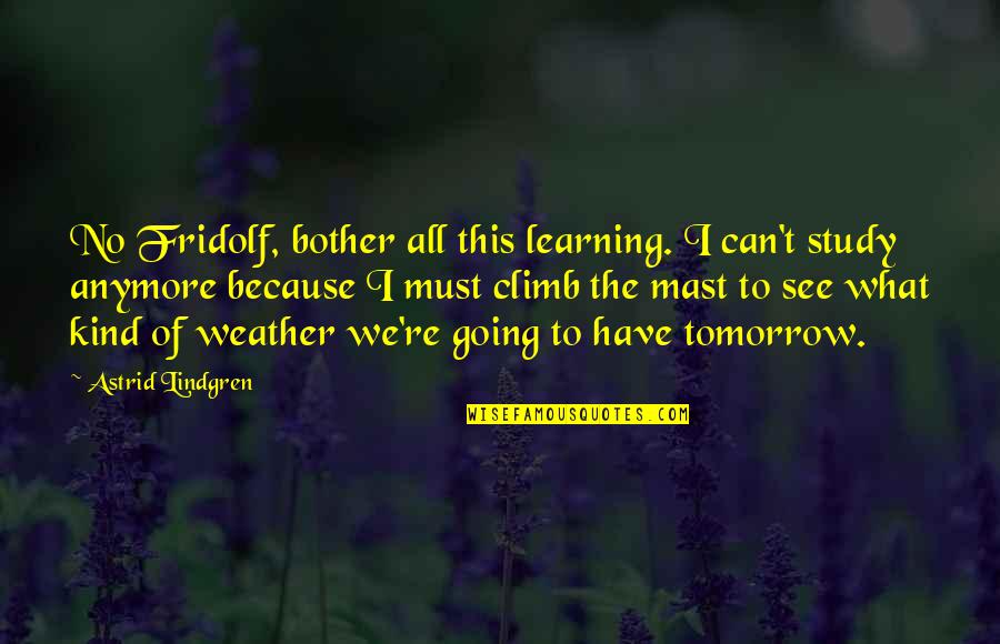 What We Can't Have Quotes By Astrid Lindgren: No Fridolf, bother all this learning. I can't