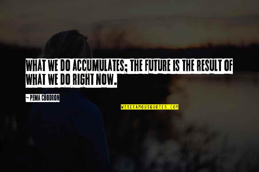 What We Do Now Quotes By Pema Chodron: What we do accumulates; the future is the