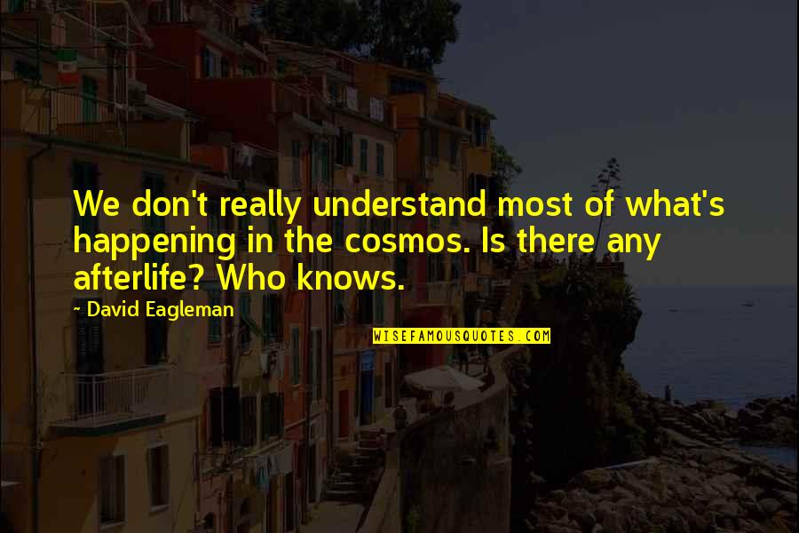 What We Don Understand Quotes By David Eagleman: We don't really understand most of what's happening