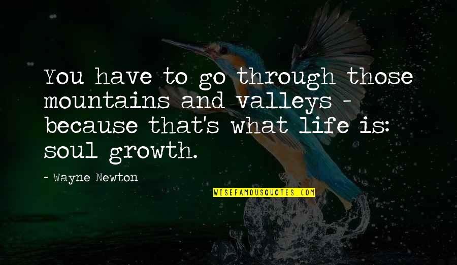 What We Go Through In Life Quotes By Wayne Newton: You have to go through those mountains and