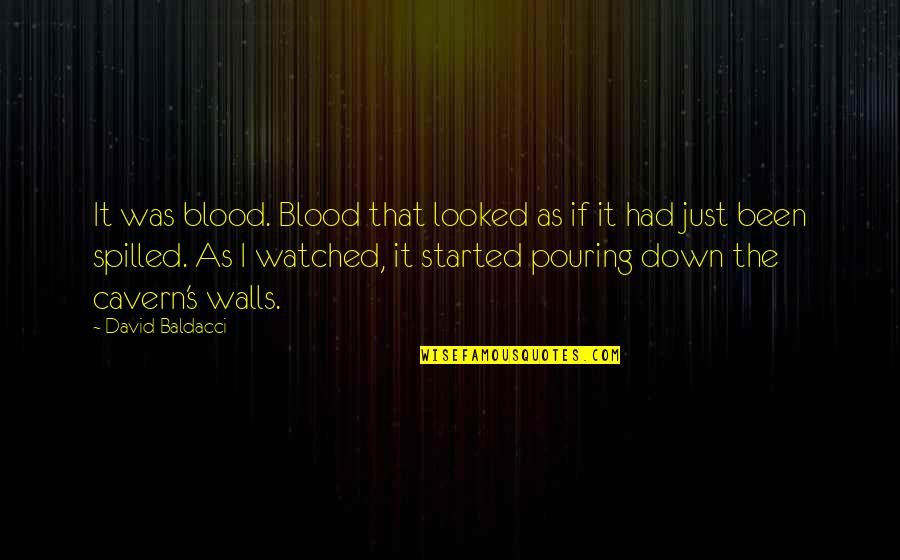 What We Had Was Real Quotes By David Baldacci: It was blood. Blood that looked as if