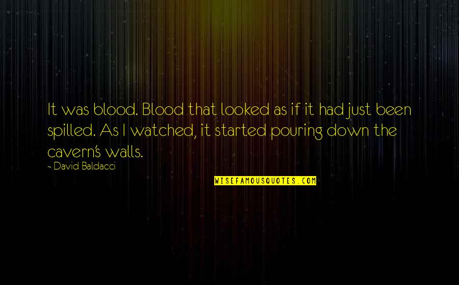 What We Had Was Real Quotes By David Baldacci: It was blood. Blood that looked as if What We Had Was Real Quotes By David Baldacci: It was blood. Blood that looked as if