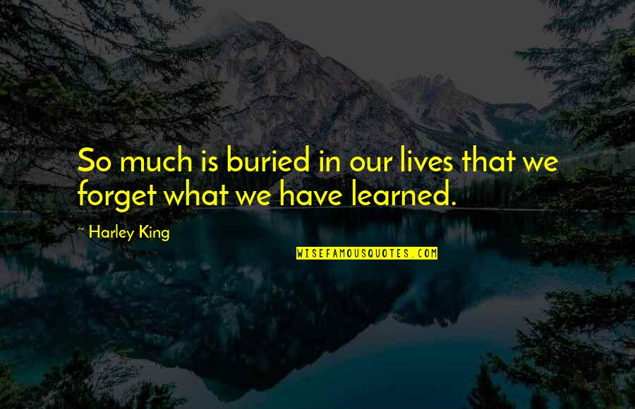 What We Learn Quotes By Harley King: So much is buried in our lives that